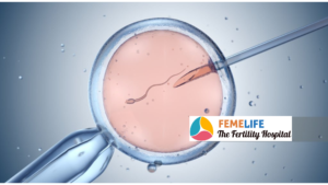 Femelife IVF