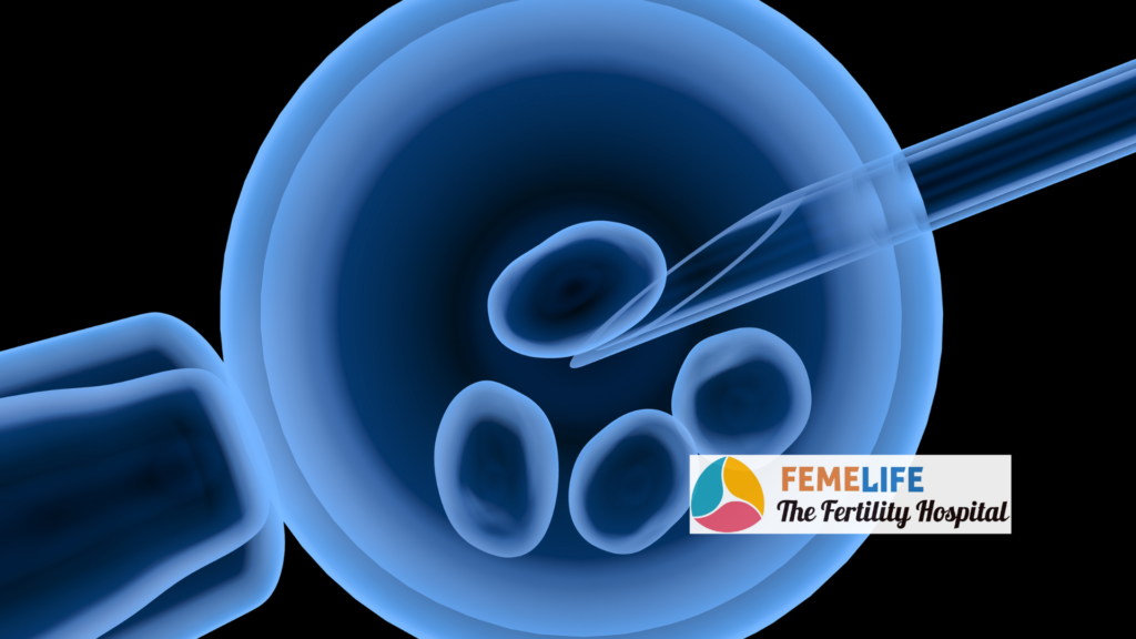Femelife IVF